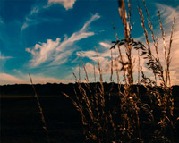 安全无毒零风险的DDOS网页端源码