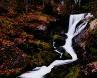 卡密充值便宜的ddos在线网页端