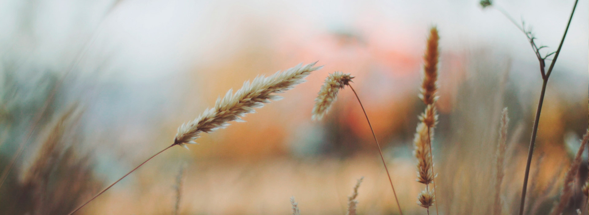 DDOS在线攻击平台