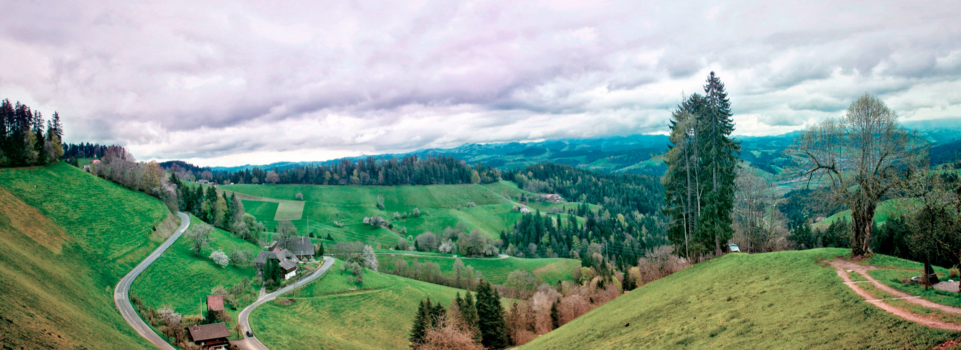 批发商城便宜的DDOS网页端源码